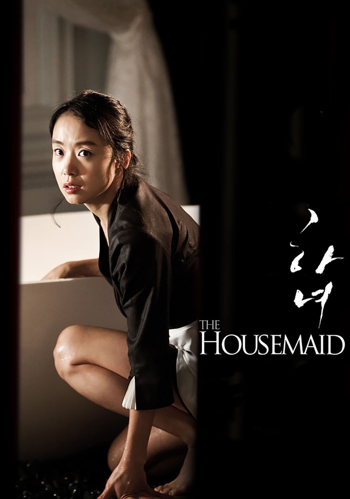 The Housemaid streaming where to watch online?